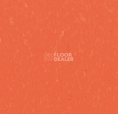 Линолеум Forbo Marmoleum Decibel on Order 365135 zinnia фото 1 | FLOORDEALER
